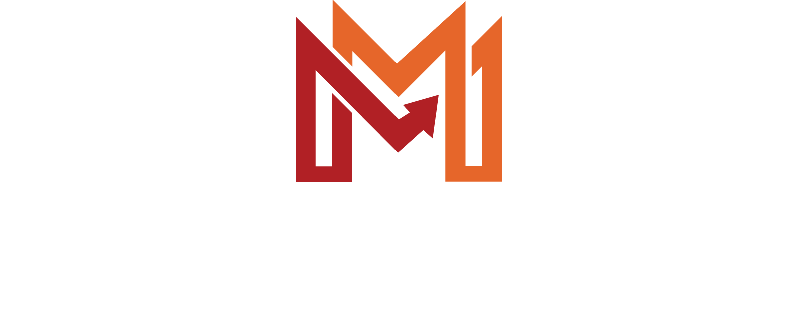 Avada SEO